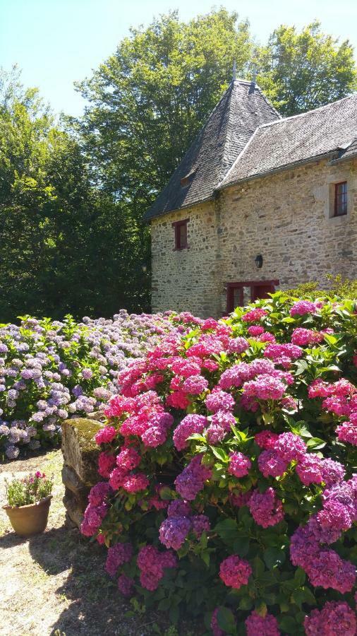 Chateau De Bellefond Lagraulière Esterno foto